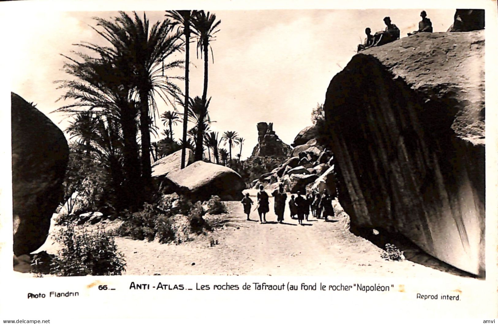 23-0328 Anti Atlas Les Roches De Tafraout Au Fond La Roche "napoleon" - Otros & Sin Clasificación