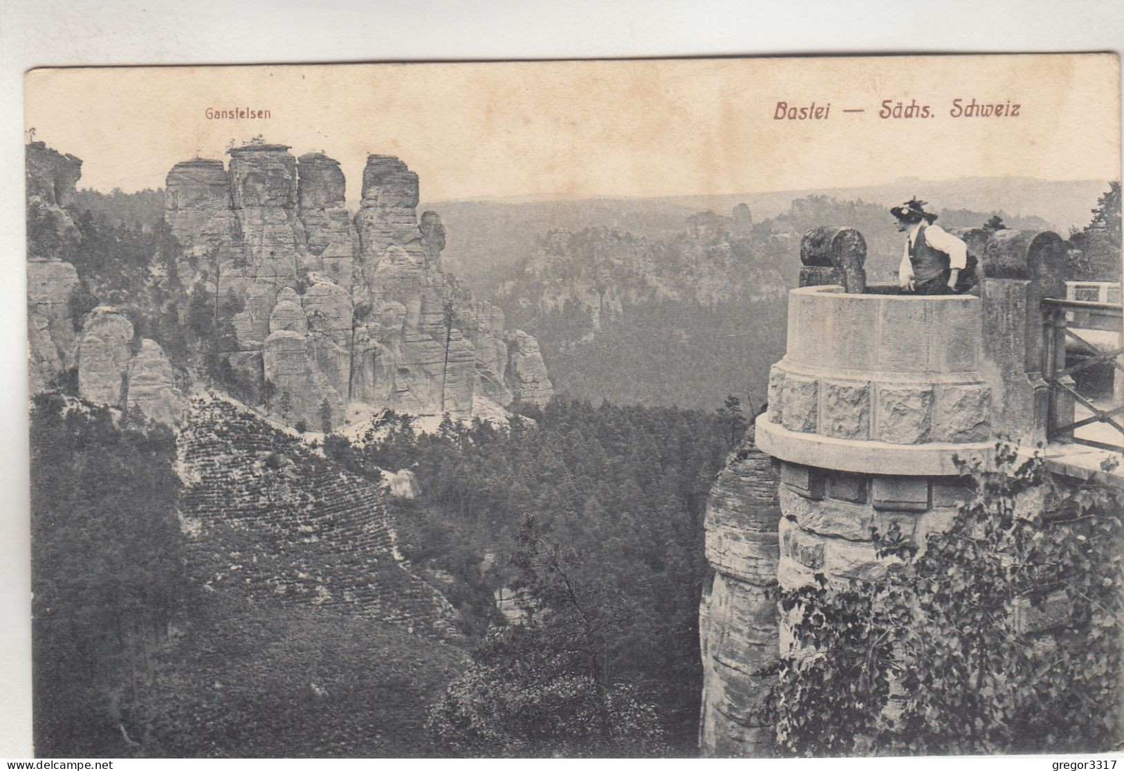 C8356) BASTEI - Sächs. Schweiz - Mann Mit Blick Auf Ganslfelsen Von Anderer Seite ALT 31.7.1918 Dresden - Bastei (sächs. Schweiz)