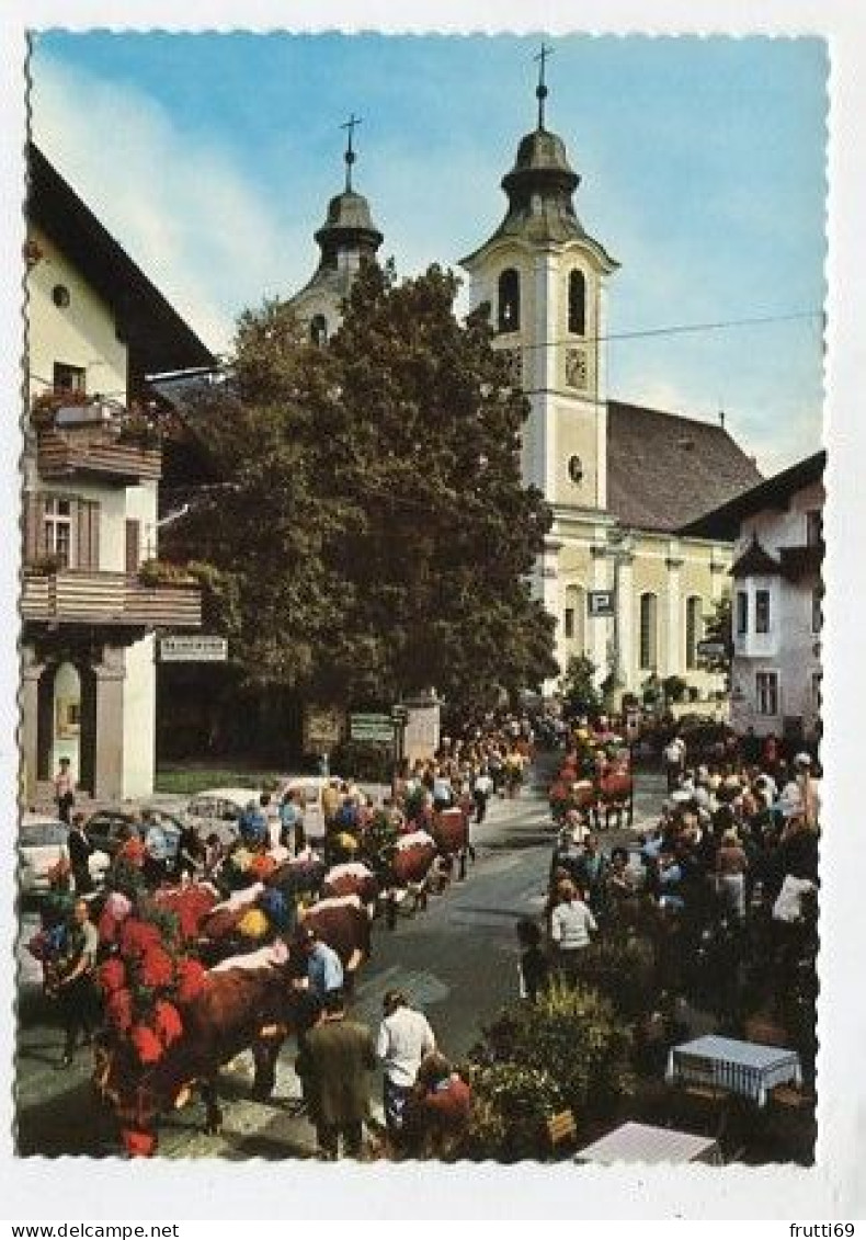 AK 132098 AUSTRIA - St. Johann In Tirol - Almabtrieb - St. Johann In Tirol