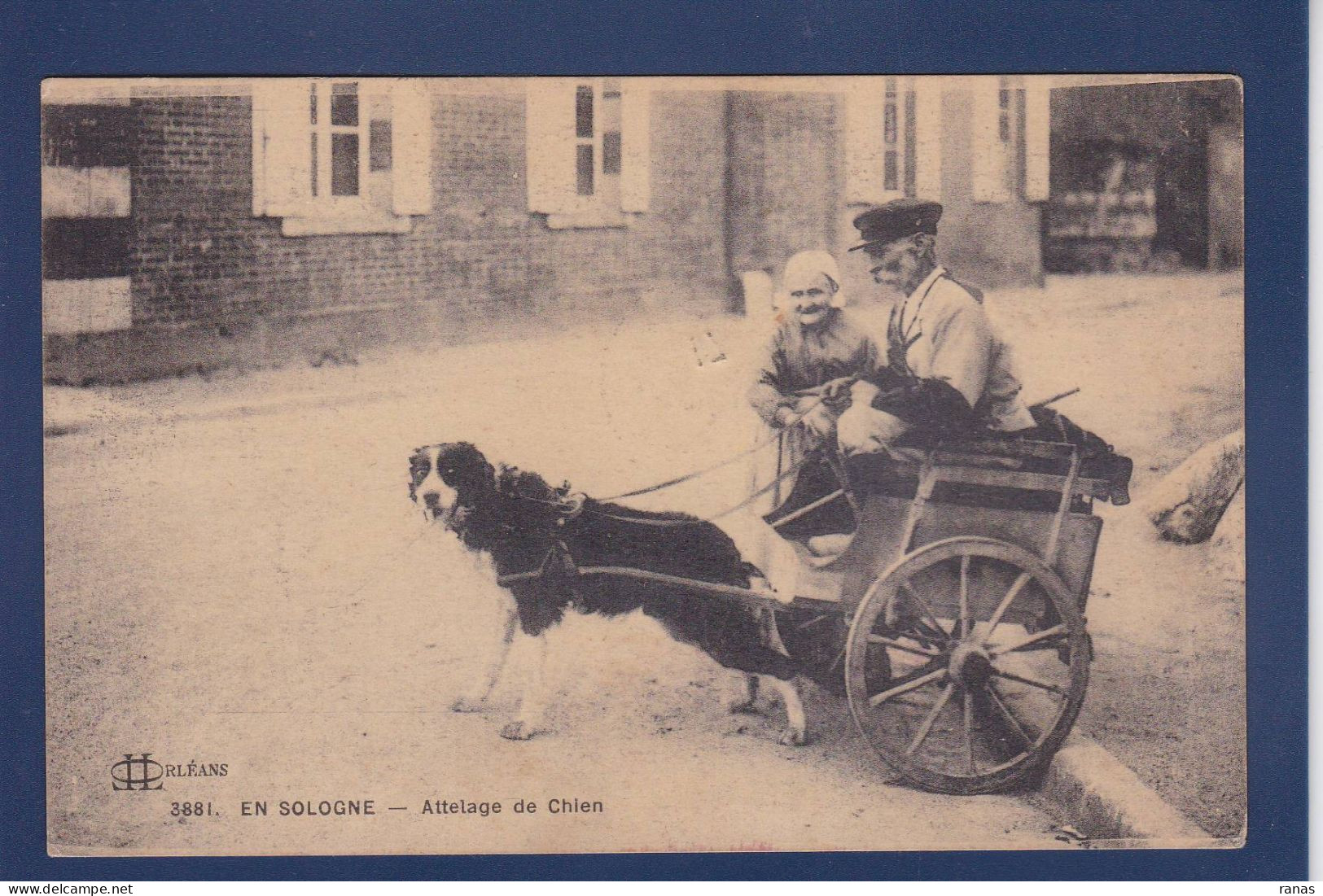 CPA Chien Voiture à Chien Attelage [45] Loiret > Orleans Circulé Série En Sologne - Orleans