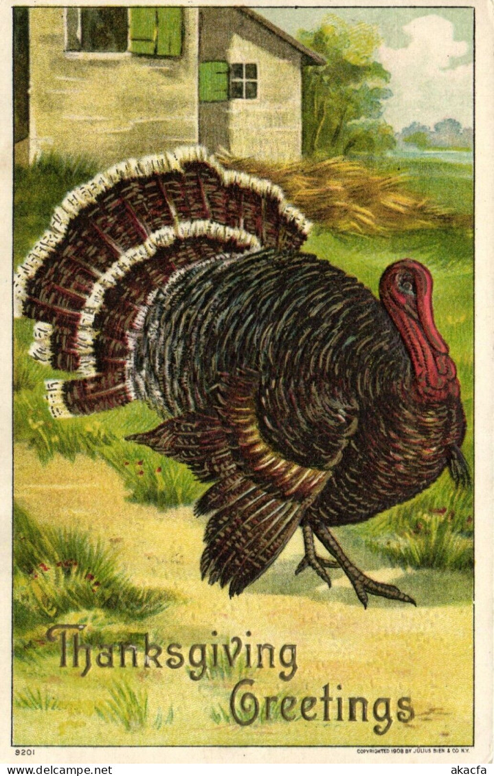 THANKSGIVING TURKEY Mostly EMBOSSED 18 Vintage Postcards Pre-1940 (L6584) - Thanksgiving