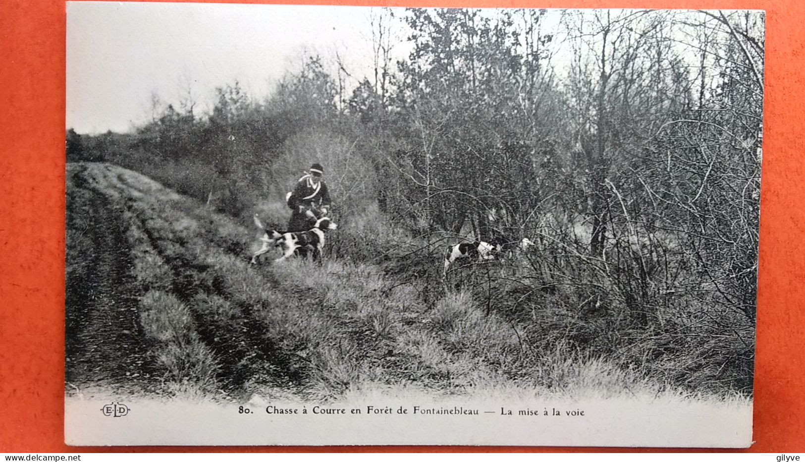 CPA. Chasse à Courre En Forêt De Fontainebleau. La Mise à La Voie.  (AF.110) - Chasse