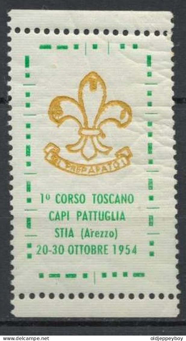 1954 MNH** ERINNOFILI 1º CORSO TOSCANO CAPI PATTUGLIA STIA AREZZO SCOUTS ITALIA Scouting Pfadfinder VIGNETTE CINDERELLA - Neufs