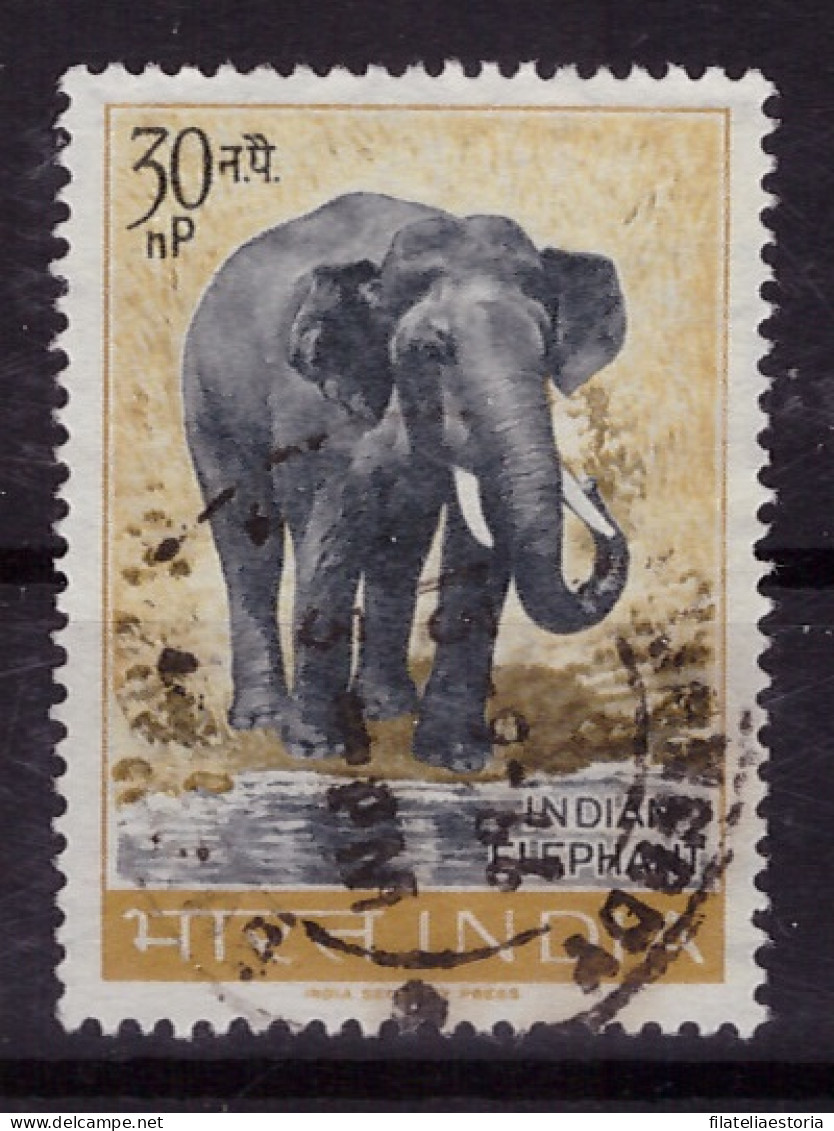 Inde 1963 - Oblitéré - éléphants - Mammifères - Michel Nr. 360 (ind280) - Oblitérés