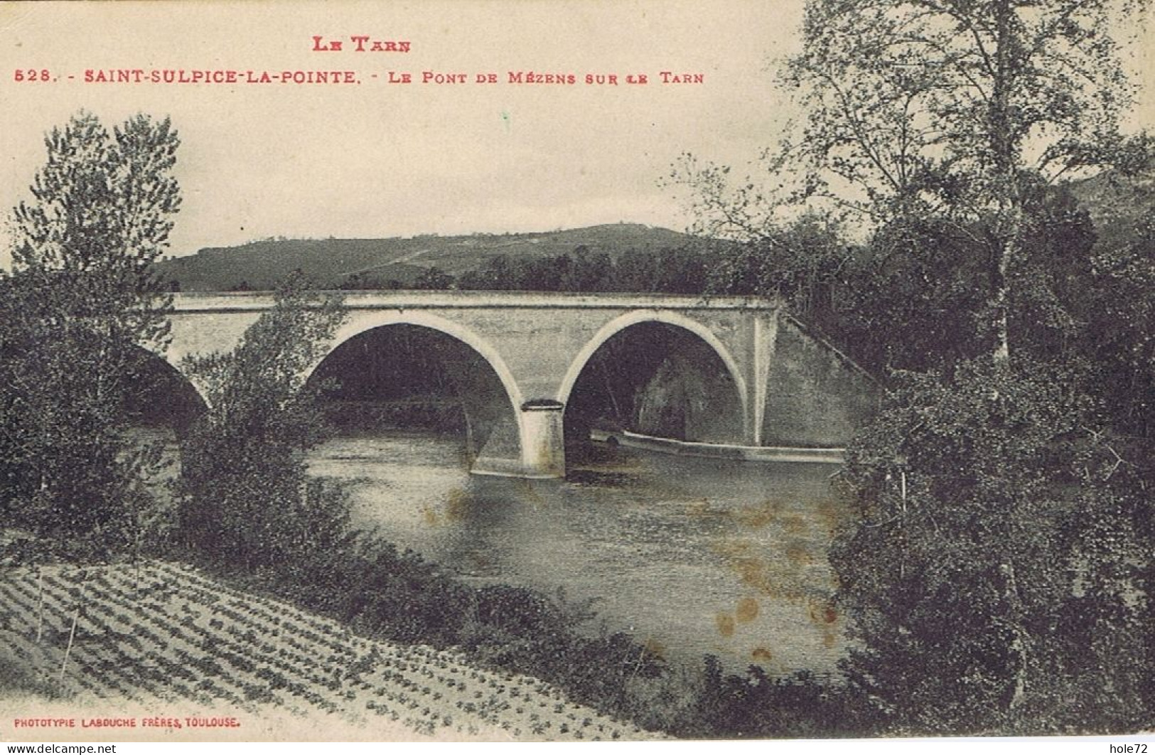 81- Saint-Sulpice-la-Pointe (Tarn) - Le Pont De Mézens Sur Le Tarn - Saint Sulpice