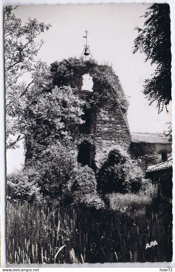 81- Montredon-Labessonie(Tarn) - Notre Dame De Ruffis - Montredon Labessonie