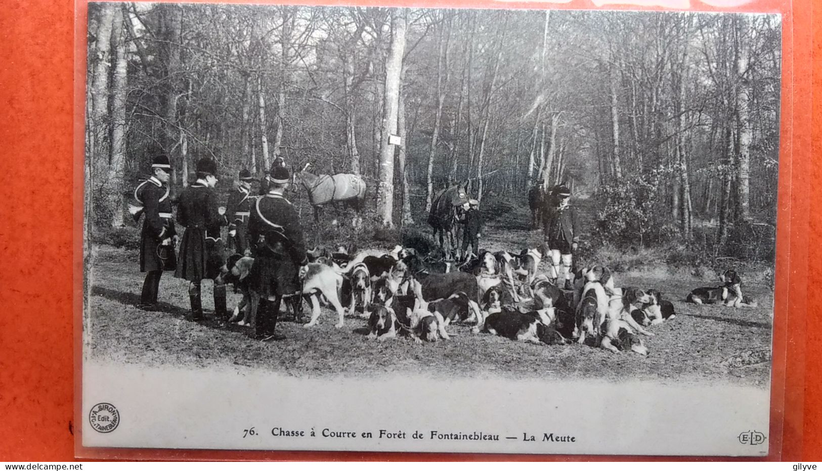 CPA. Chasse à Courre En Forêt De Fontainebleau. La Meute.  (AF.124) - Chasse