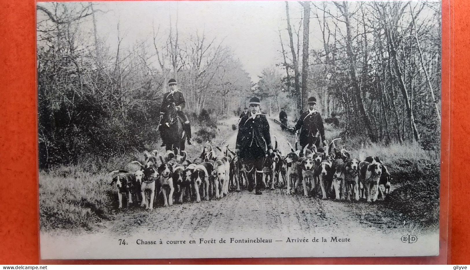 CPSM. Forêt De Tronçais. Départ De Chasse.  (AF.126) - Chasse