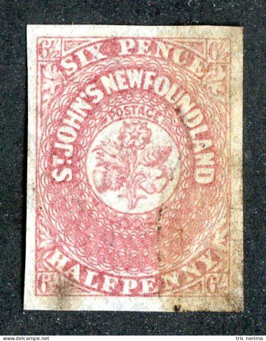 207 Newfoundland 1862 Scott 21 (SG20) Used (Lower Bids 20% Off) - 1857-1861