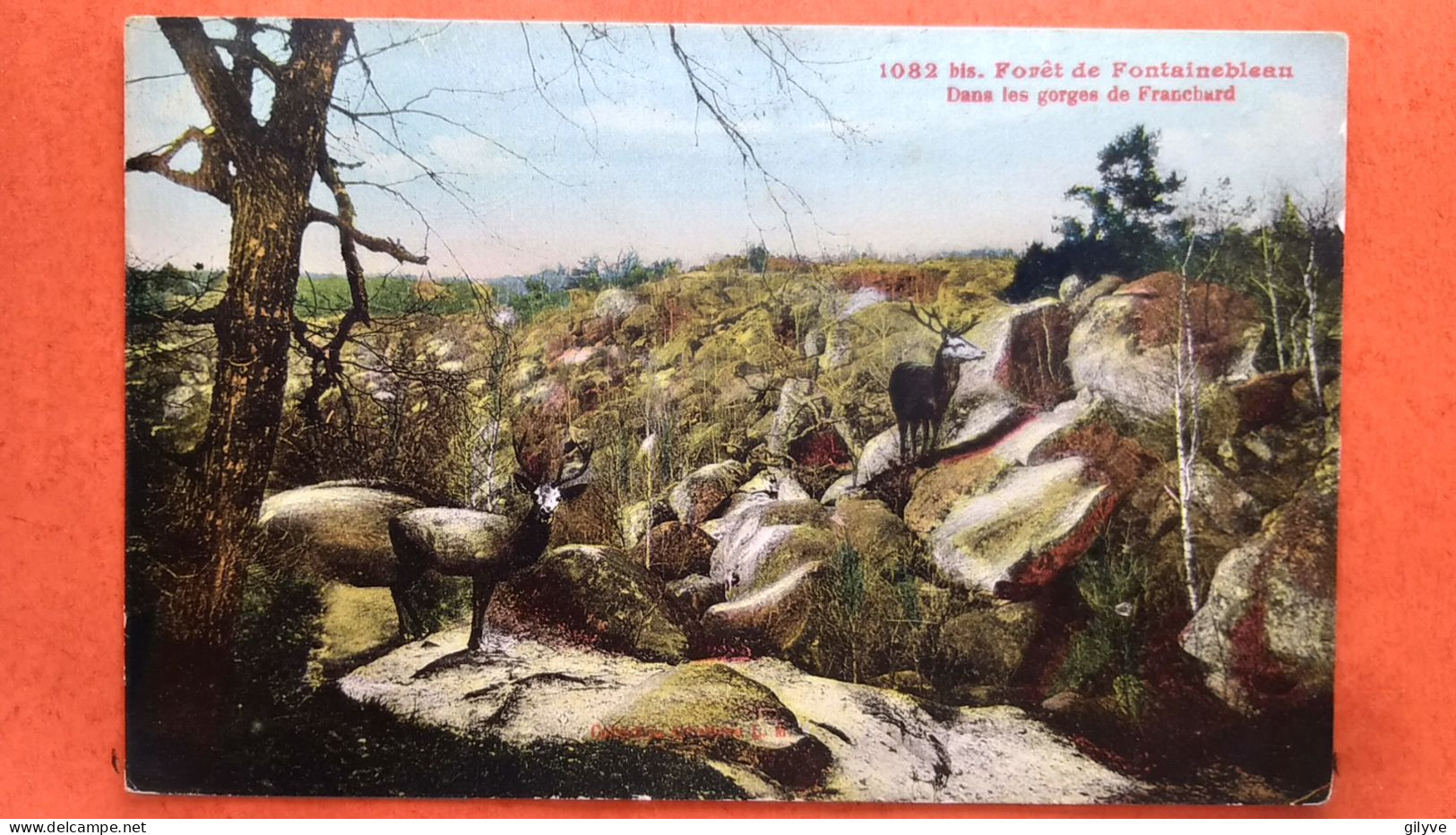 Cpa.(77) Forêt De Fontainebleau. Dans Les Gorges De Franchard. (AF.146) - Chasse