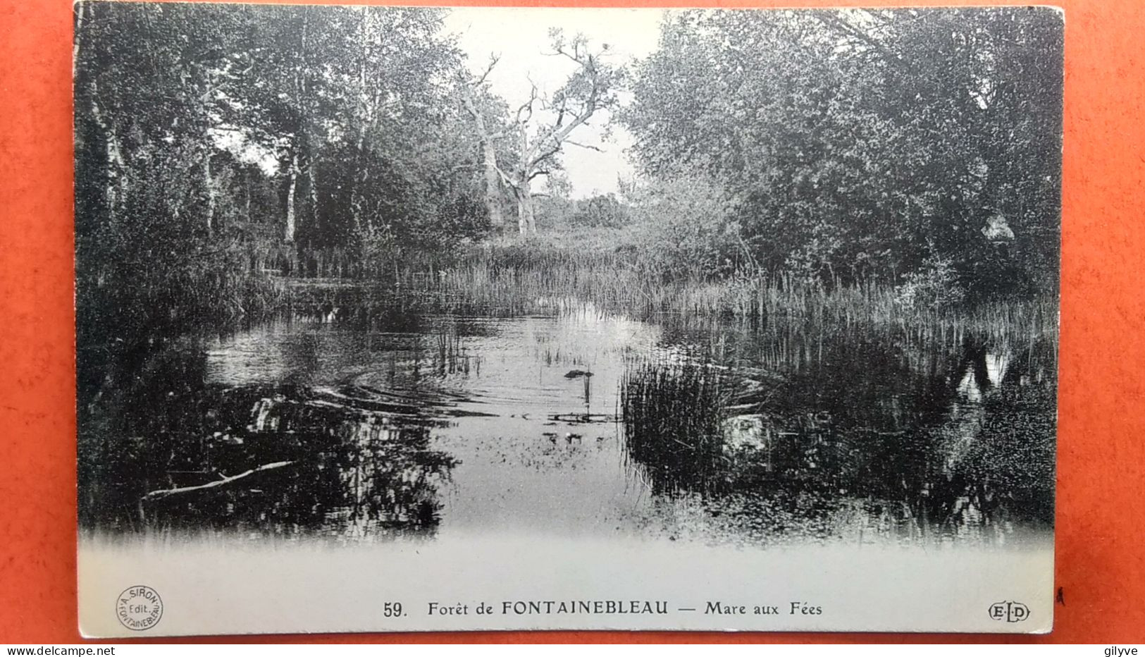 Cpa.(77) Forêt De Fontainebleau. Mare Aux Fées. . (AF.170) - Chasse