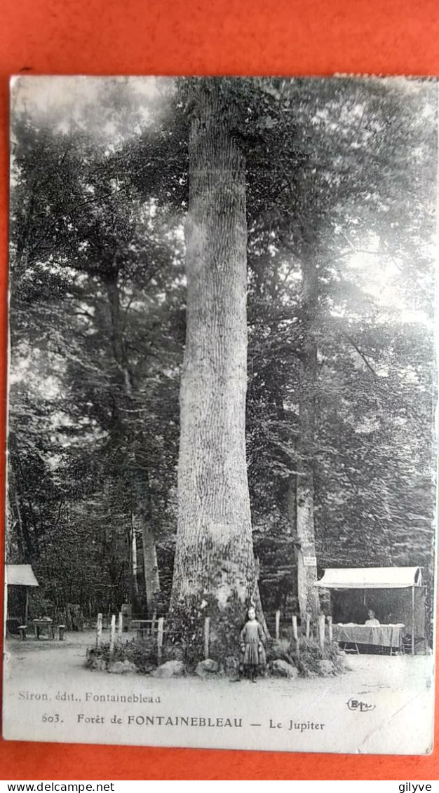 Cpa.(77) Forêt De Fontainebleau. Le Jupiter.. (AF.174) - Chasse