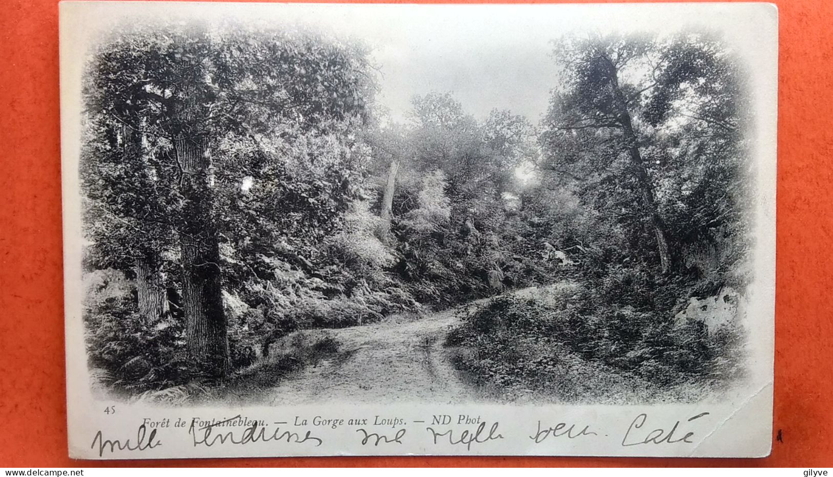Cpa.(77) Forêt De Fontainebleau. La Gorge Aux Loups. (AF.178) - Chasse