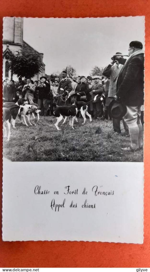 Cpsm. Photo. Chasse En Forêt De Tronçais.  Appel Des Chiens .   (AF.200) - Chasse