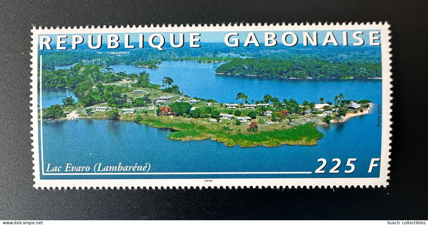 Gabon Gabun 2005 Mi. 1679 Lac Evaro Lambaréné Lake See Hotel Rare - Gabon