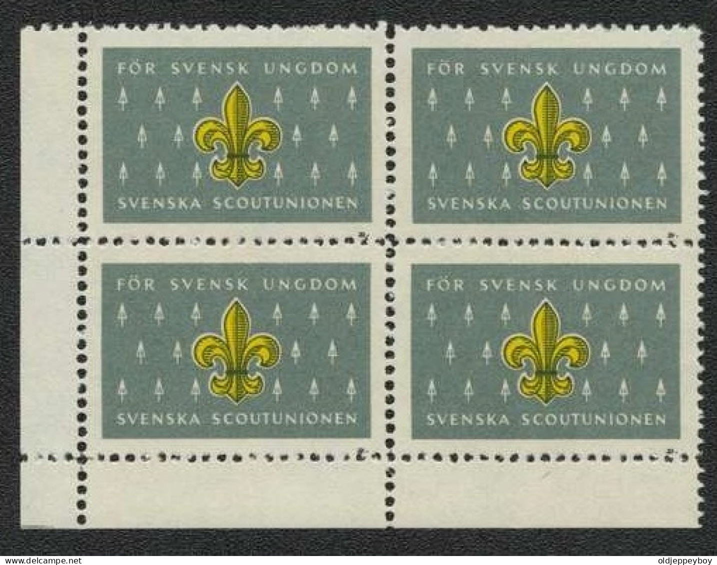 MNH** BLOCK JAMBOREE 1951. SVERIGE. SVENSKA SCOUT-UNIONEN FÖR SVENSK UNGDOM Pfadfinder CINDERELLA SCOUTING - Ungebraucht