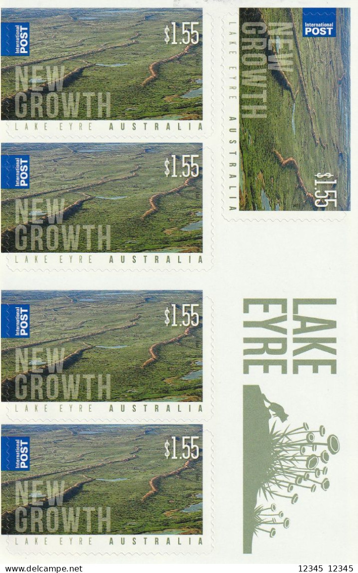 Australië 2011, Postfris MNH, Lake Eyre, Birds (4 Scans) - Mint Stamps