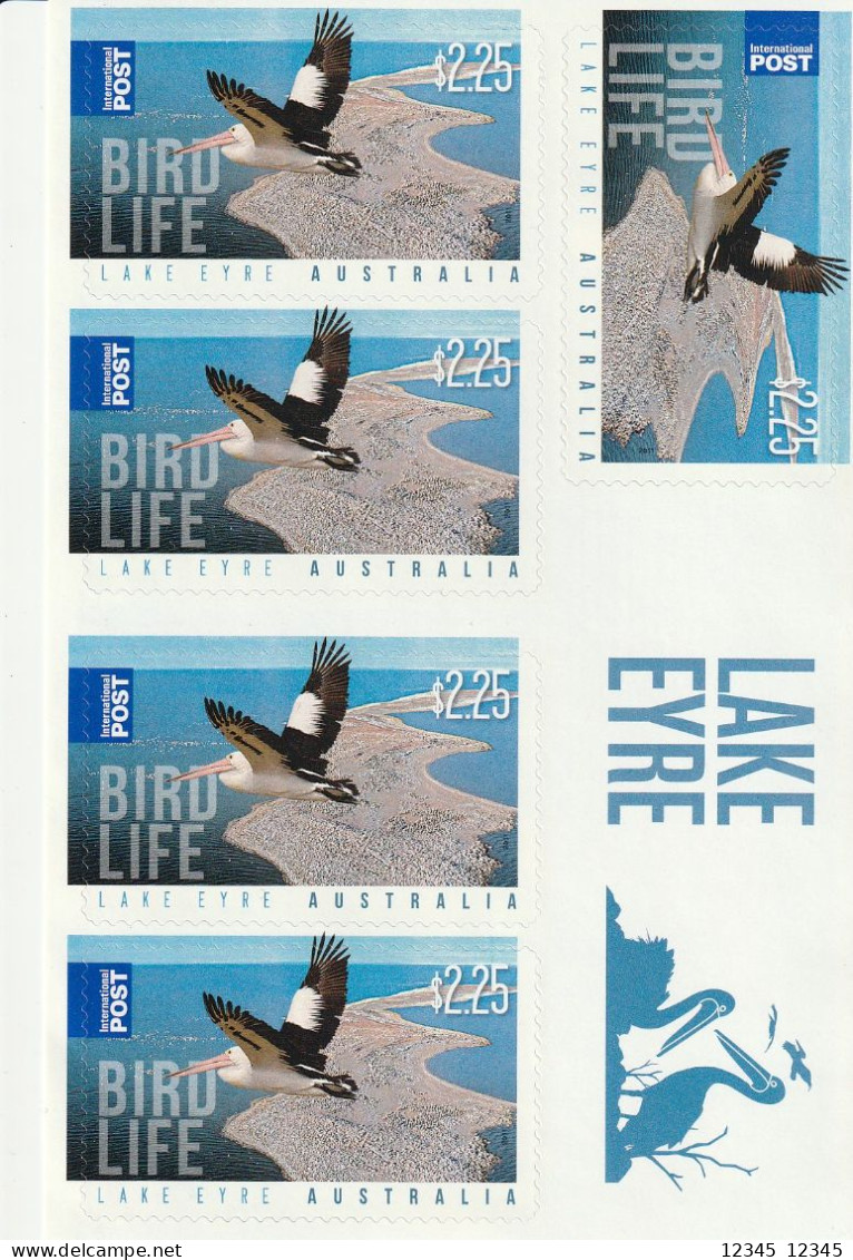 Australië 2011, Postfris MNH, Lake Eyre, Birds (4 Scans) - Mint Stamps