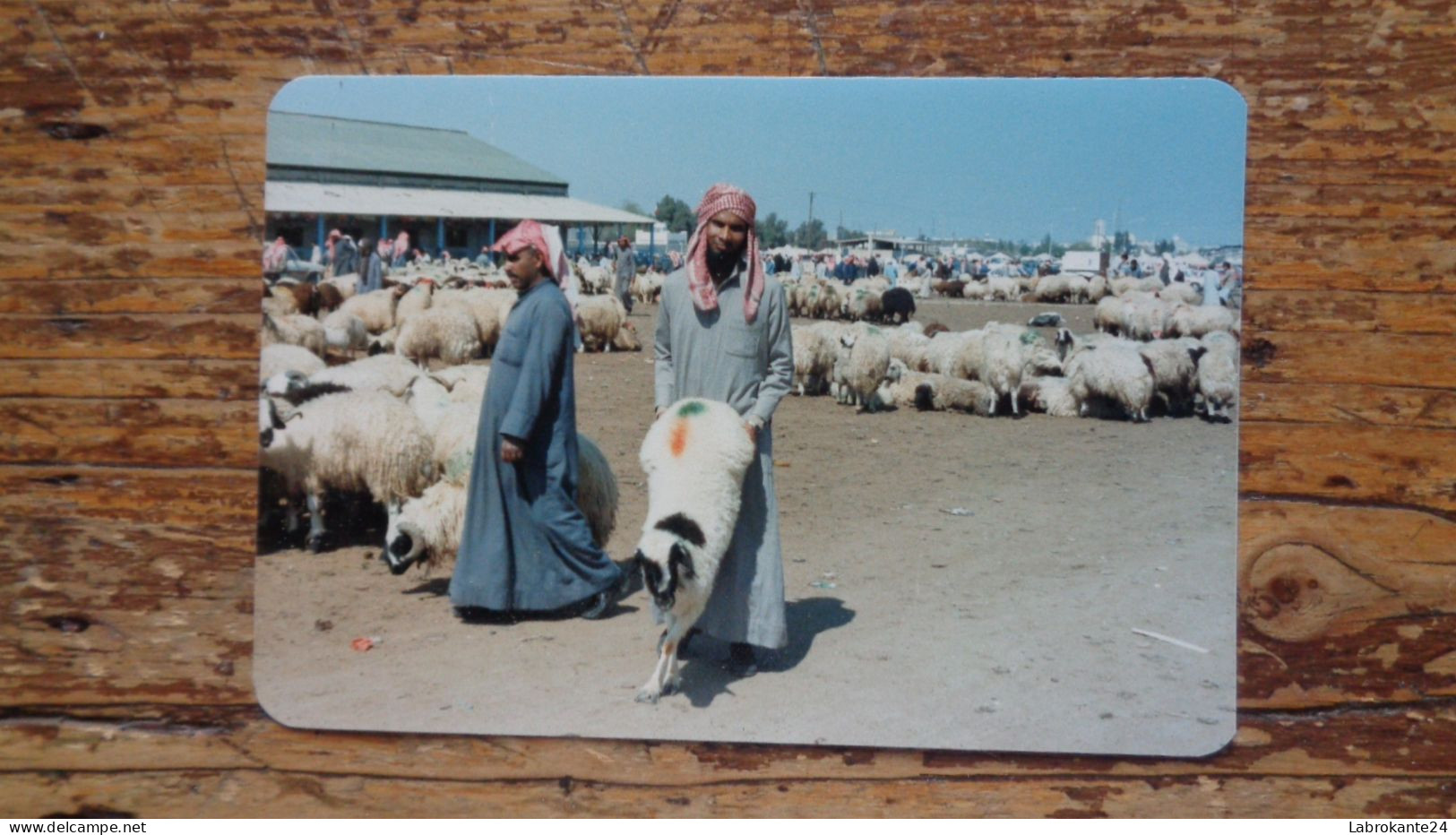 REF 631 : Photo Originale 12.5 X 8.5 Cm  Koweit Marchand De Mouton - Kuwait