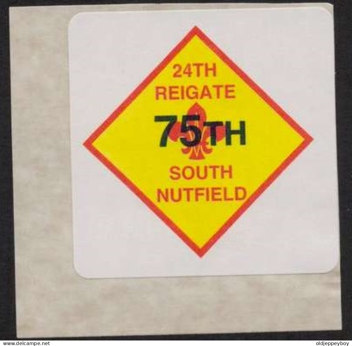 MNH**  75 Th South Nutfield 24TH REIGATE VIGNETTE SCOUTS POSTER STAMP  Pfadfinder CINDERELLA SCOUTING SCOUTISMO - Unused Stamps
