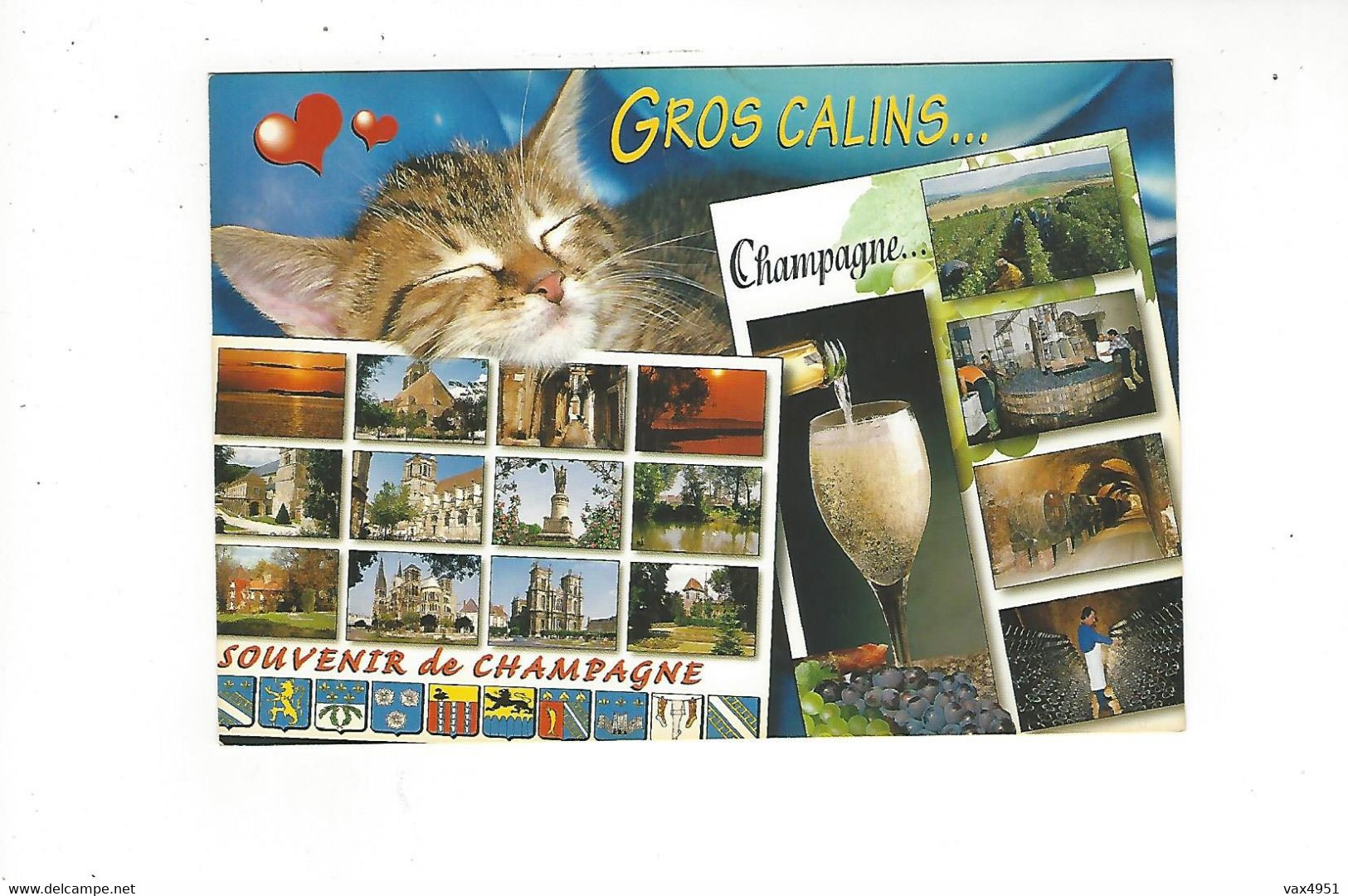 CHAMPAGNE  MULTIVUES  GROS CALINS  CHATS      **   RARE    A  SAISIR *** - Champagne-Ardenne