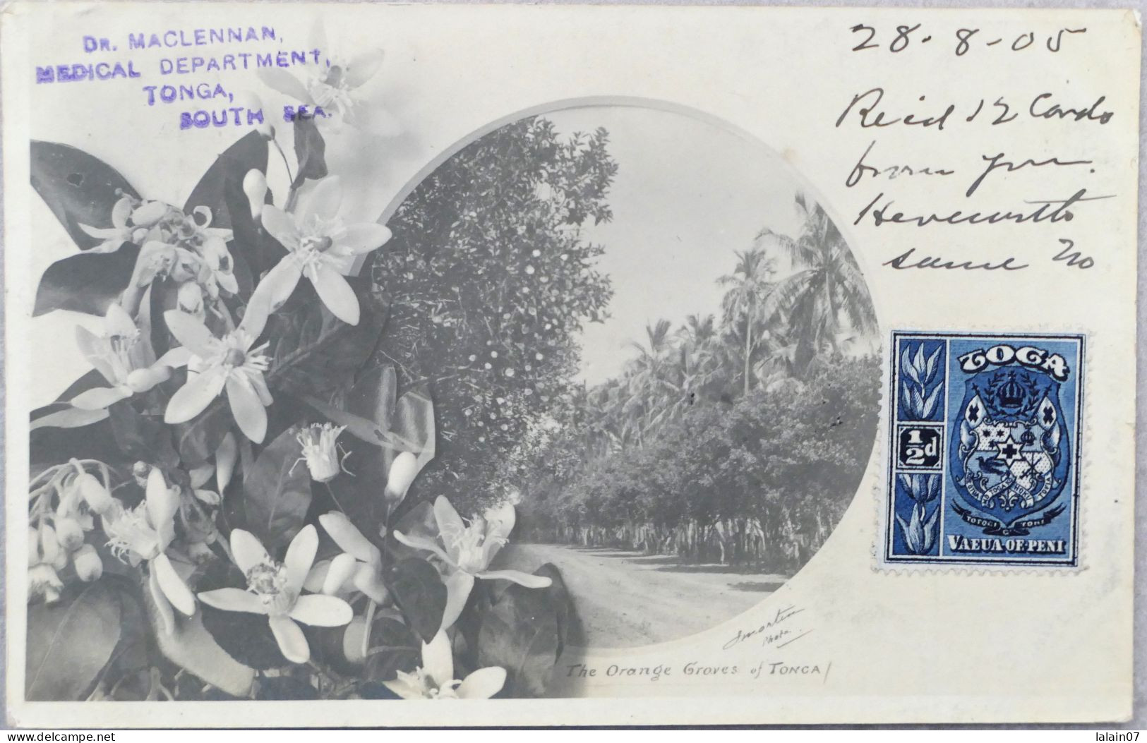 C. P. A. : TONGA : The Orange Groves Of Tonga,  Stamp In 1905 - Tonga