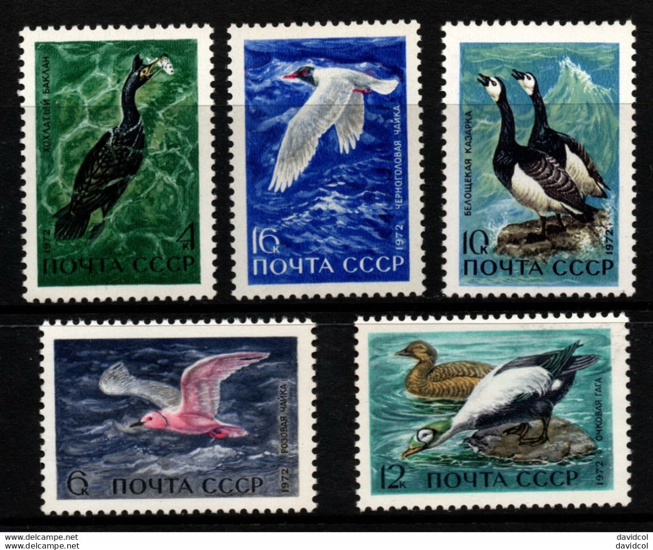 2758A-URSS-1972-SC#:3939-3943-MNH-BIRDS-GULL, GEESE, SPECTACTED EIDERS - Gansos