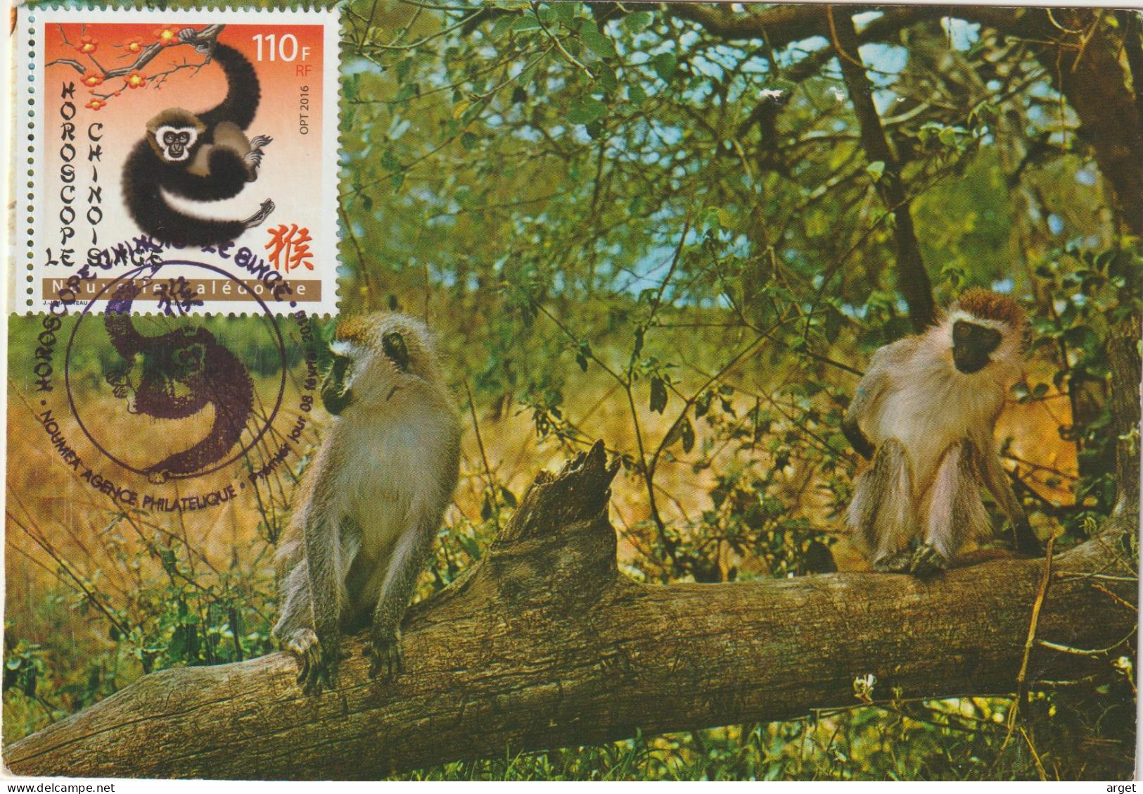 Carte-Maximum NOUVELLE-CALEDONIE ANNE DU SINGE Obl Sp 1er Jour 2016 - Tarjetas – Máxima