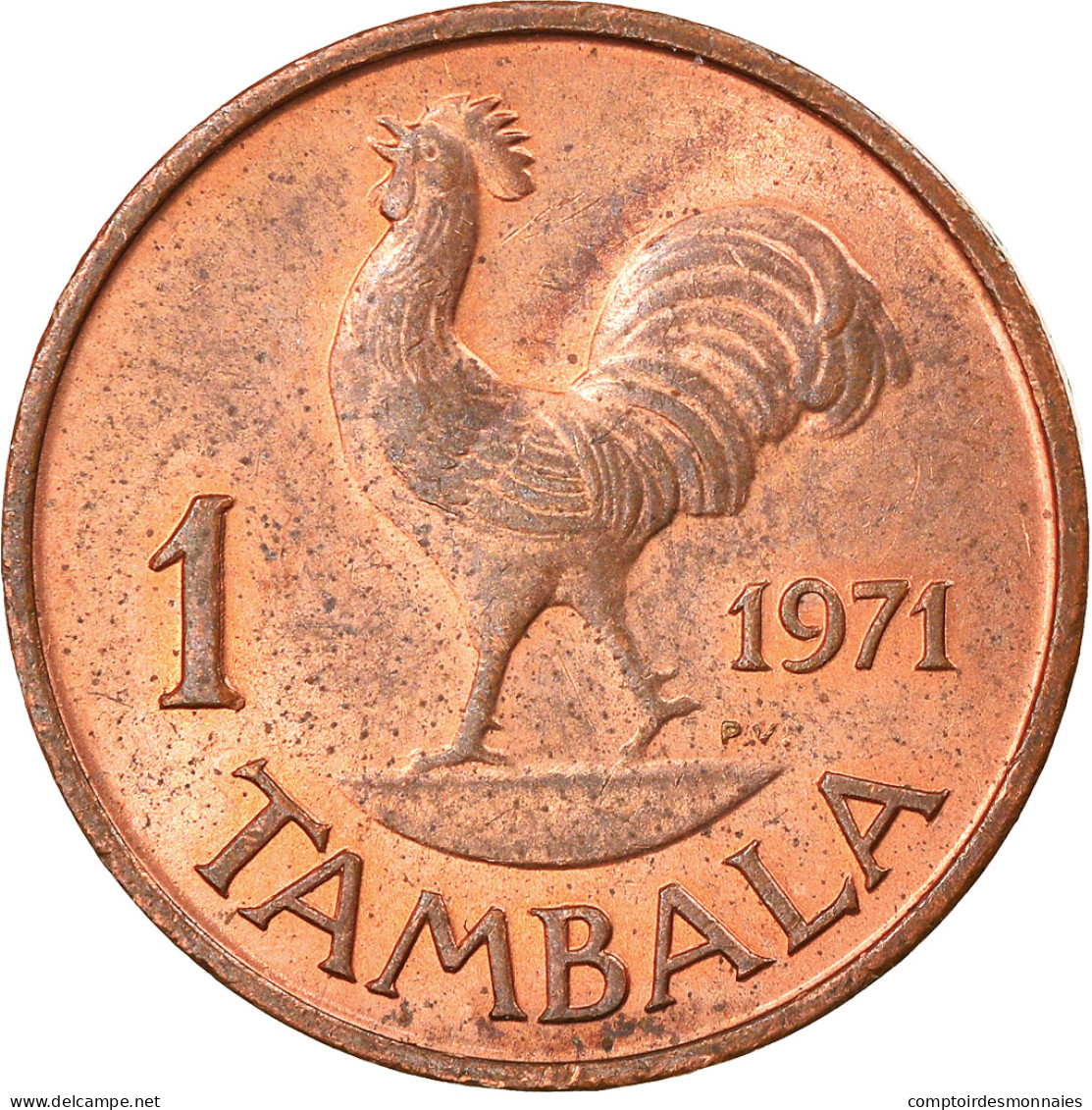 Monnaie, Malawi, Tambala, 1971, TB+, Bronze, KM:7.1 - Malawi