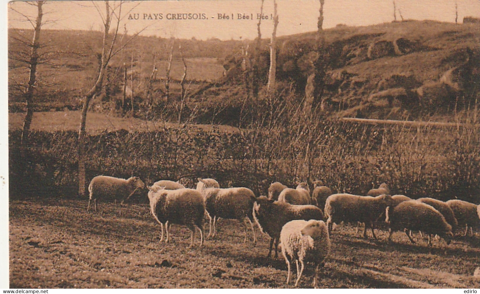 **** 23 ***  Au Pays Creusois Bée Bée Bée  -- Elevage Moutons - TTB  Neuve  - Allevamenti