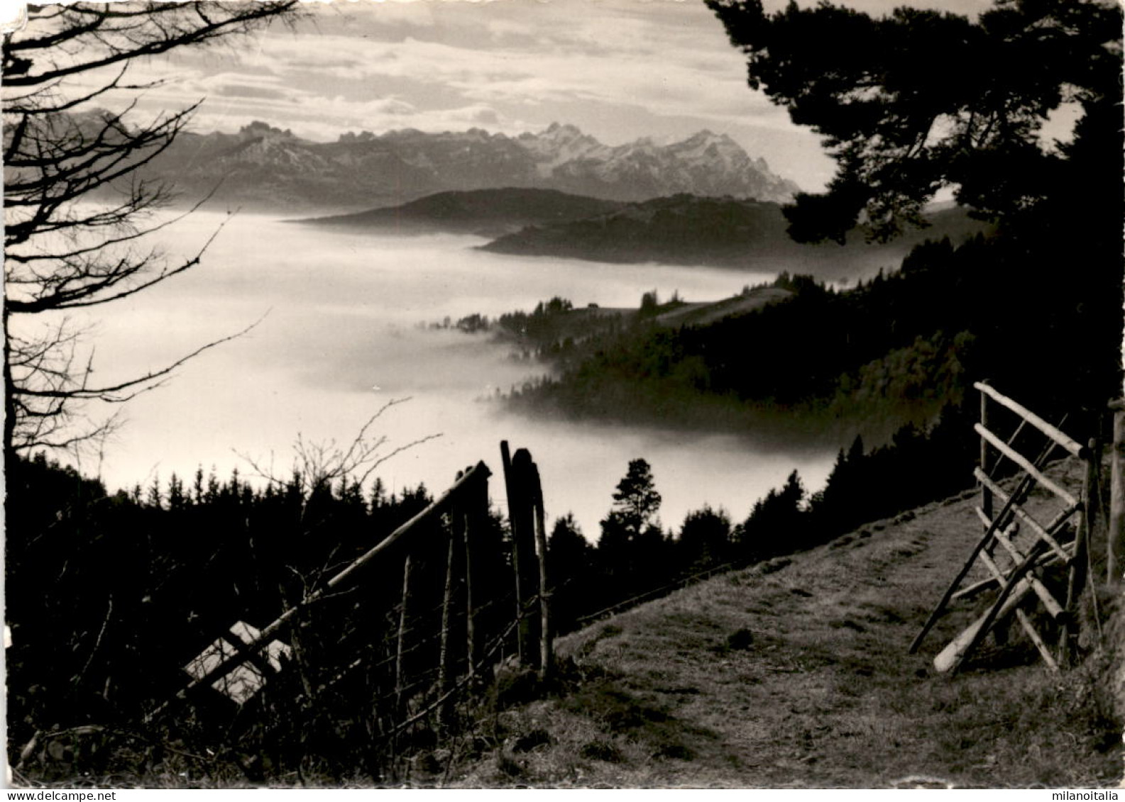 Kurort St. Anton Bei Oberegg - Blick Zum Alpstein Mit Altmann U. Säntis (452) - Oberegg