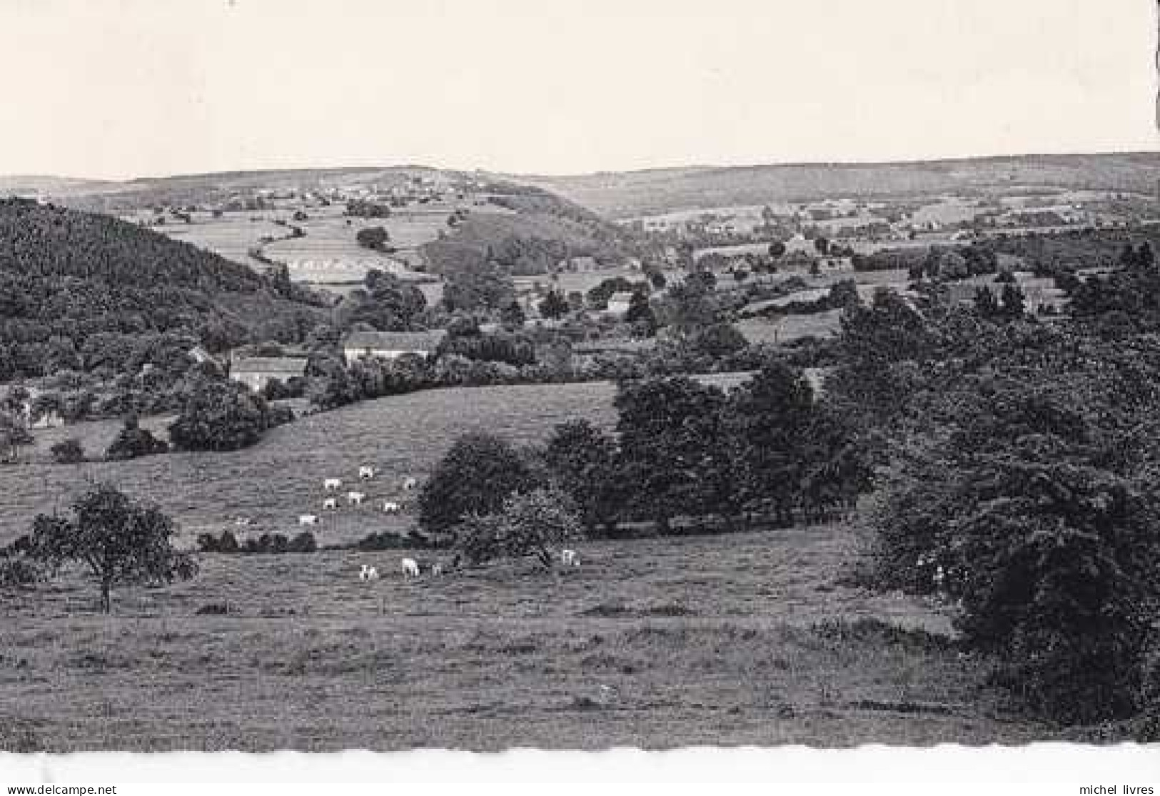 Erezée - Panorama Des Hameaux - Circulé - TBE - Erezée