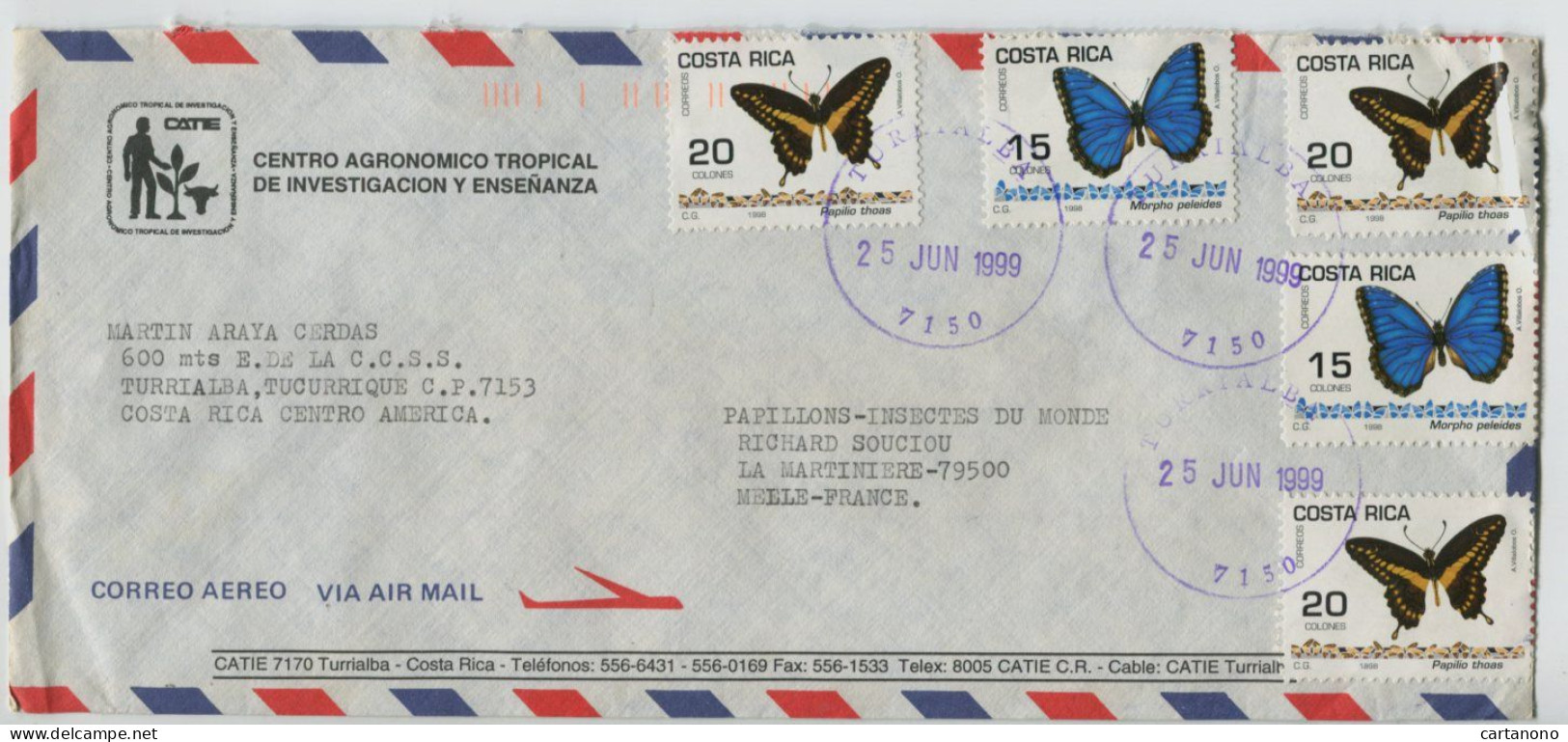 COSTA RICA - PAPILLON -  Affranchissement Sur Lettre Par Avion - Papillons