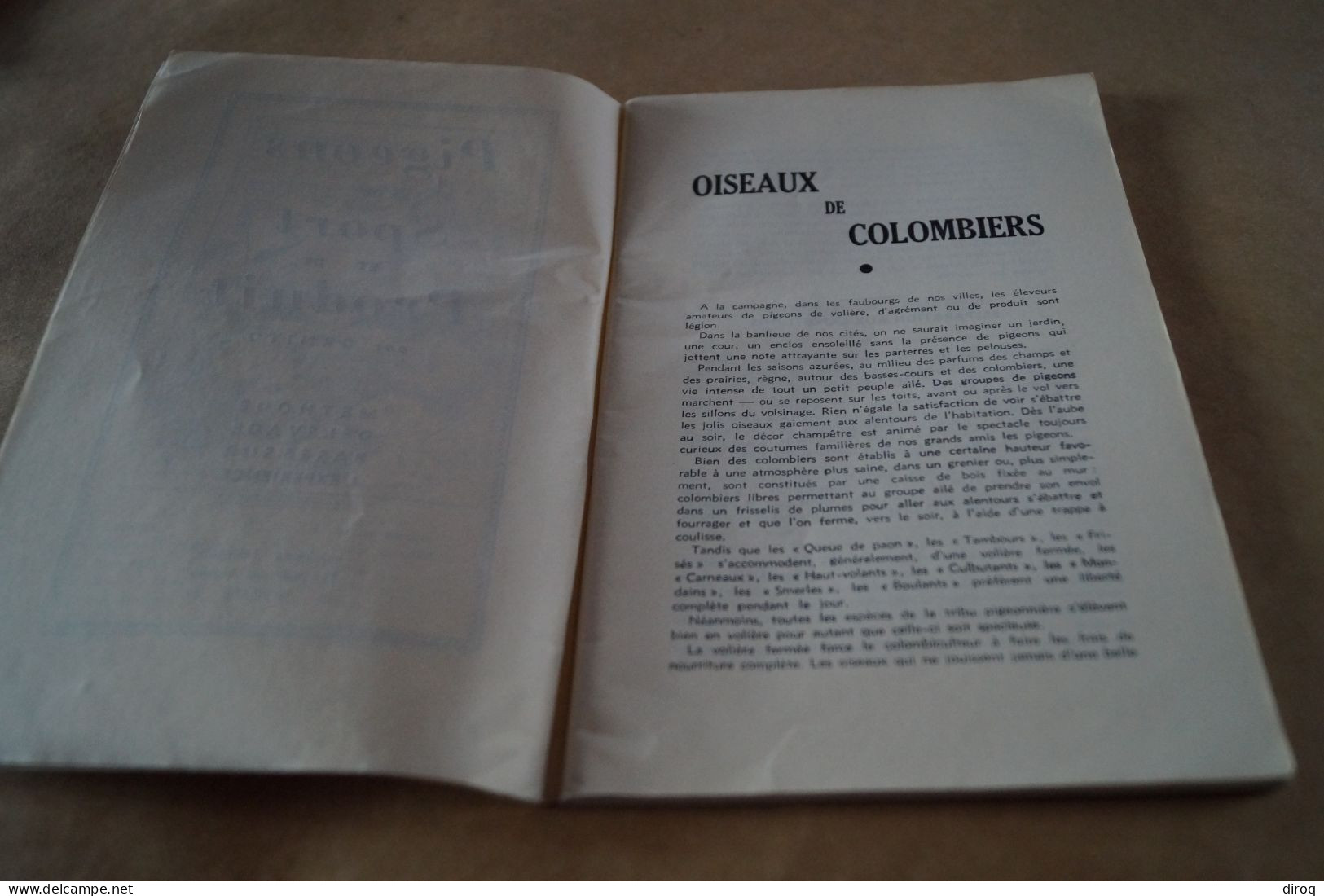 Colombophile,Pigeon,RARE Ancien Ouvrage Avec Lot De Plumes,102 Pages,21 Cm. / 13,5 Cm - Unclassified