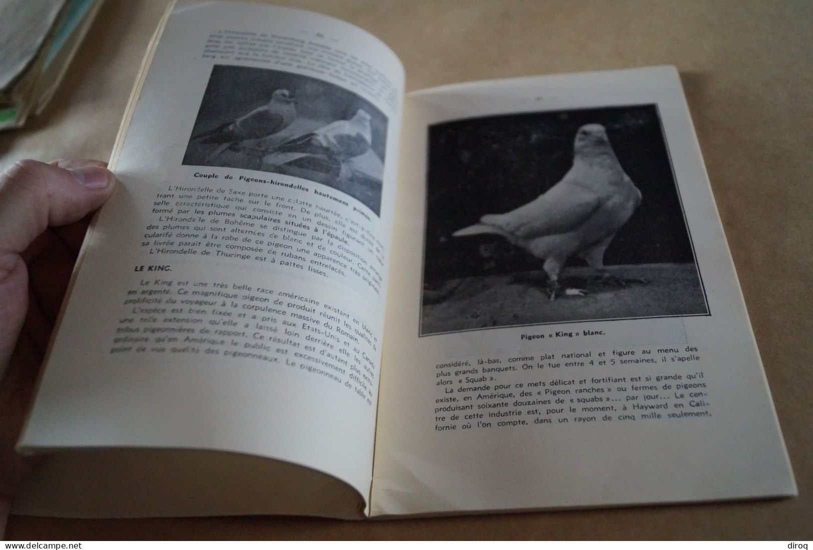 Colombophile,Pigeon,RARE ancien ouvrage avec lot de plumes,102 pages,21 Cm. / 13,5 Cm