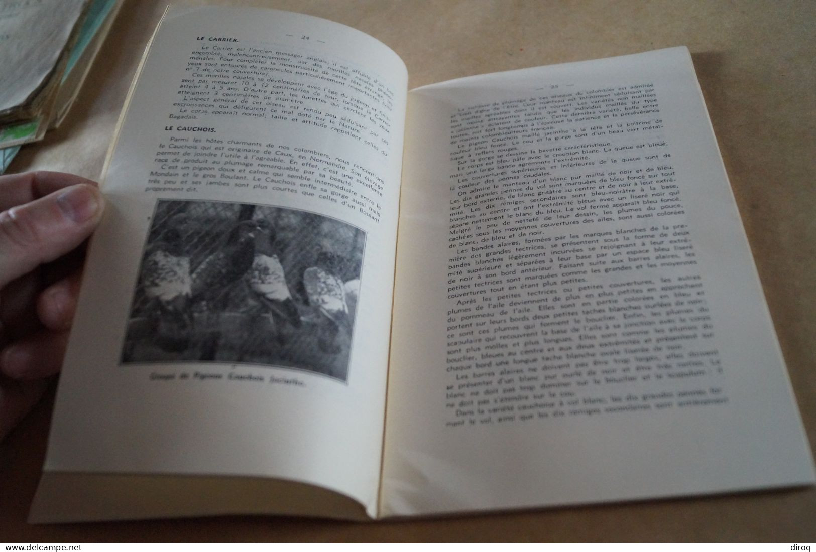 Colombophile,Pigeon,RARE ancien ouvrage avec lot de plumes,102 pages,21 Cm. / 13,5 Cm