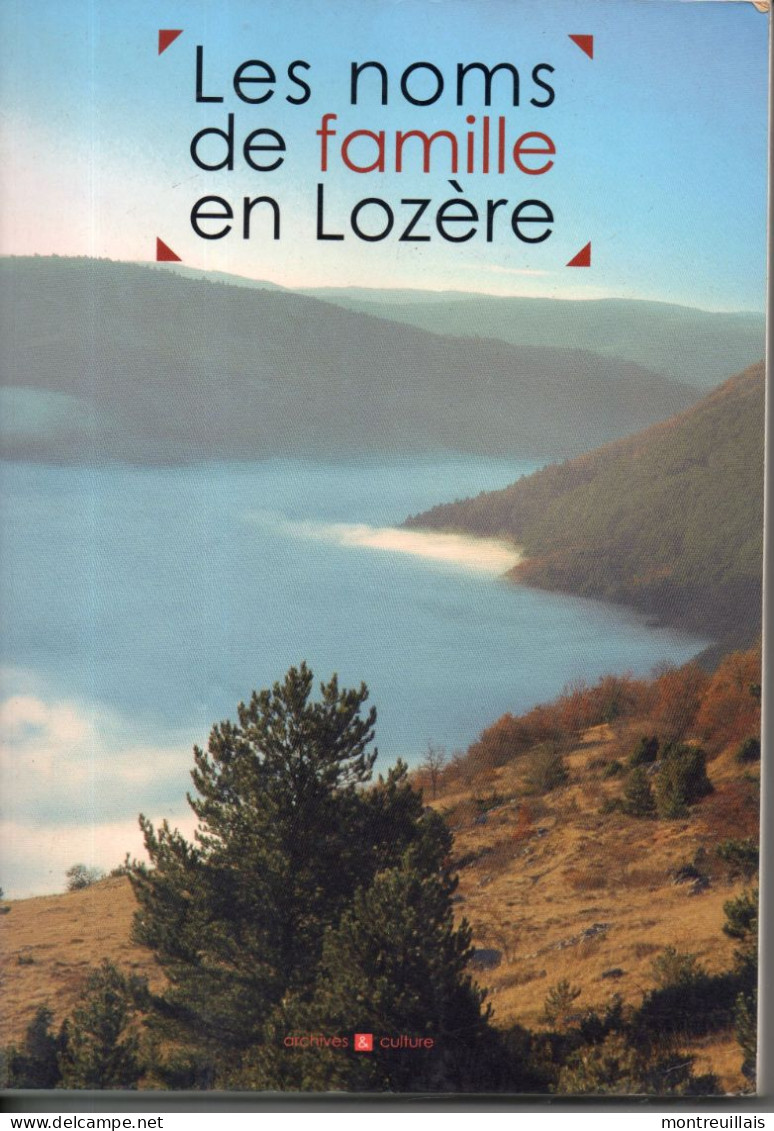 Les Noms De Famille En LOZERE, 288 Pages, Par MERGNAC, Signification, Ancêtre, Origine - Unclassified