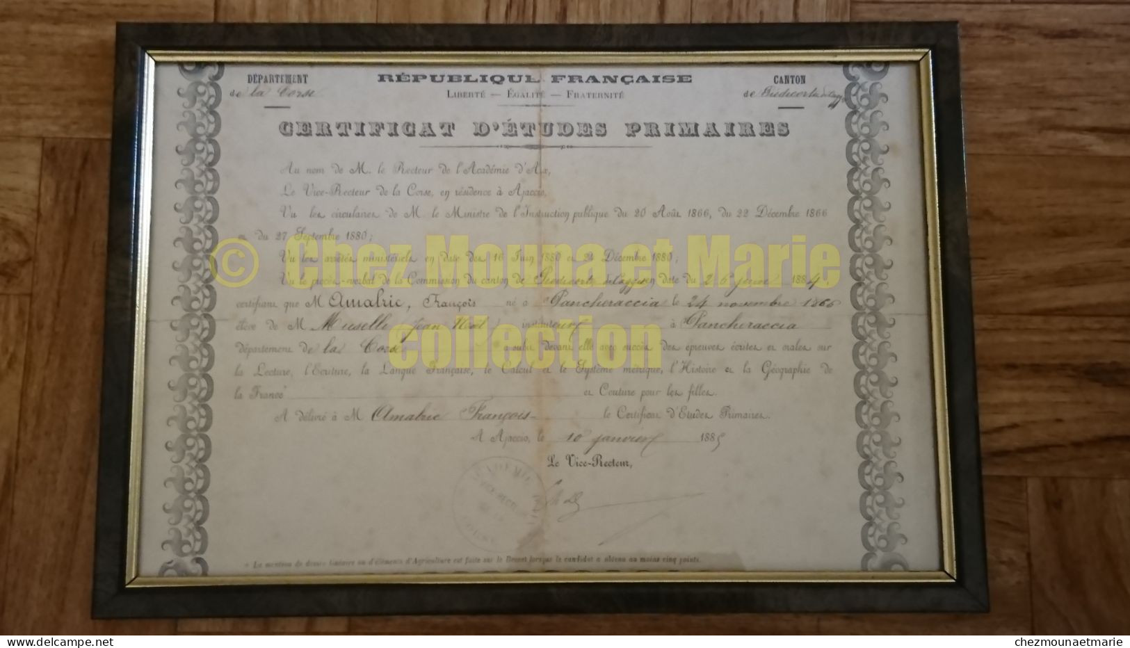 1885 PANCHERACCIA CORSE AMALRIC FRANCOIS NE EN 1866 CERTIFICAT D ETUDES PRIMAIRES INSTITUTEUR MUSELLE - Diploma's En Schoolrapporten