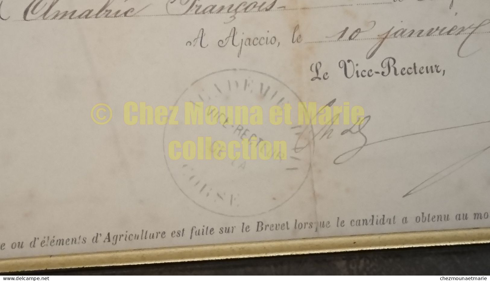 1885 PANCHERACCIA CORSE AMALRIC FRANCOIS NE EN 1866 CERTIFICAT D ETUDES PRIMAIRES INSTITUTEUR MUSELLE - Diplomas Y Calificaciones Escolares