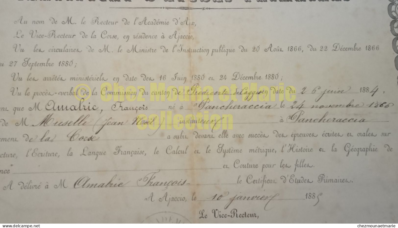 1885 PANCHERACCIA CORSE AMALRIC FRANCOIS NE EN 1866 CERTIFICAT D ETUDES PRIMAIRES INSTITUTEUR MUSELLE - Diplomas Y Calificaciones Escolares