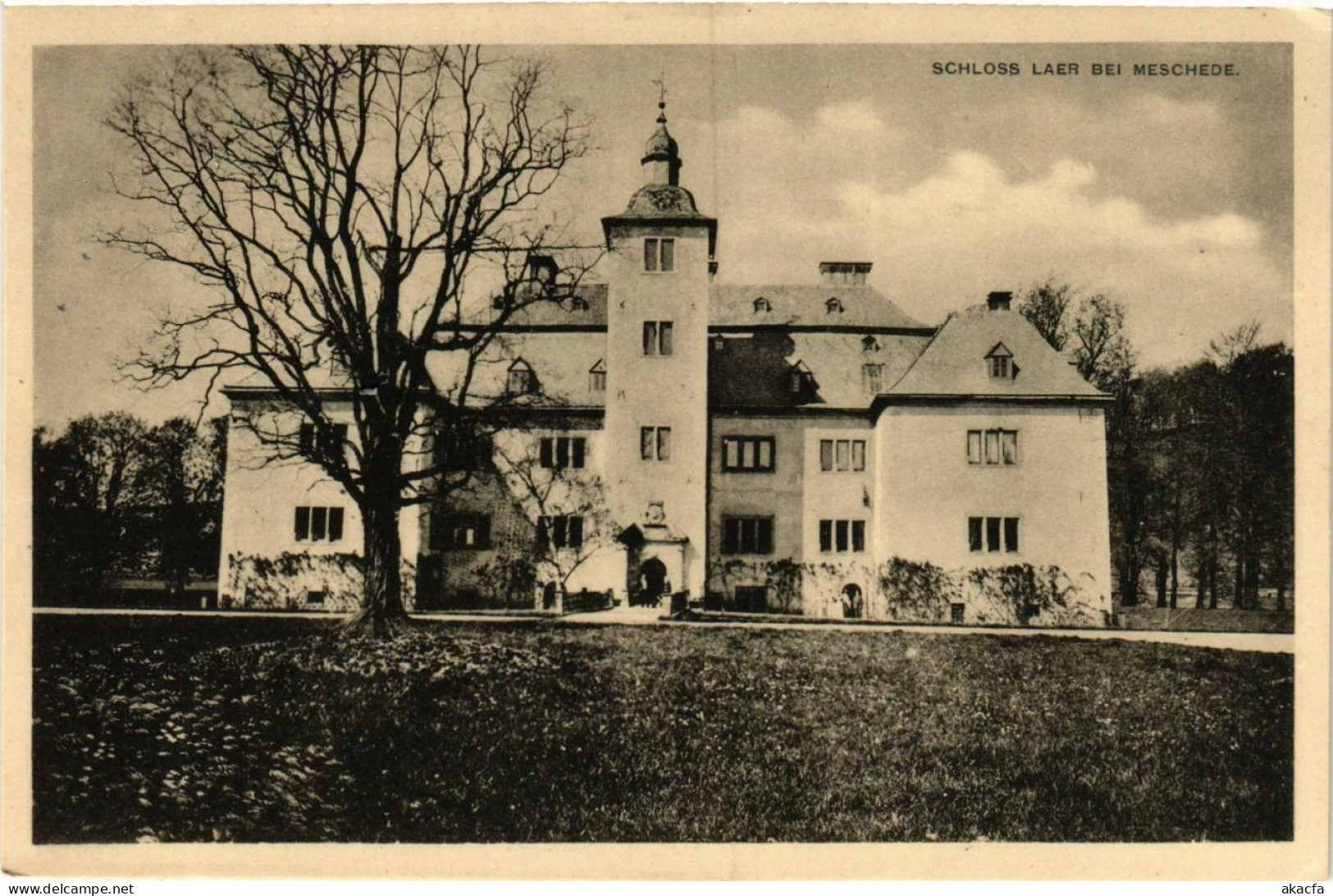 CPA AK Meschede - Schloss Laer Bei Meschede GERMANY (857945) - Meschede