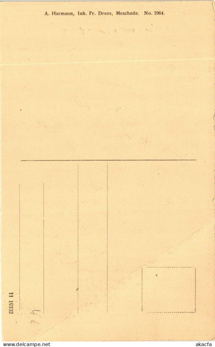 CPA AK Meschede - Schloss Laer Bei Meschede GERMANY (857936) - Meschede