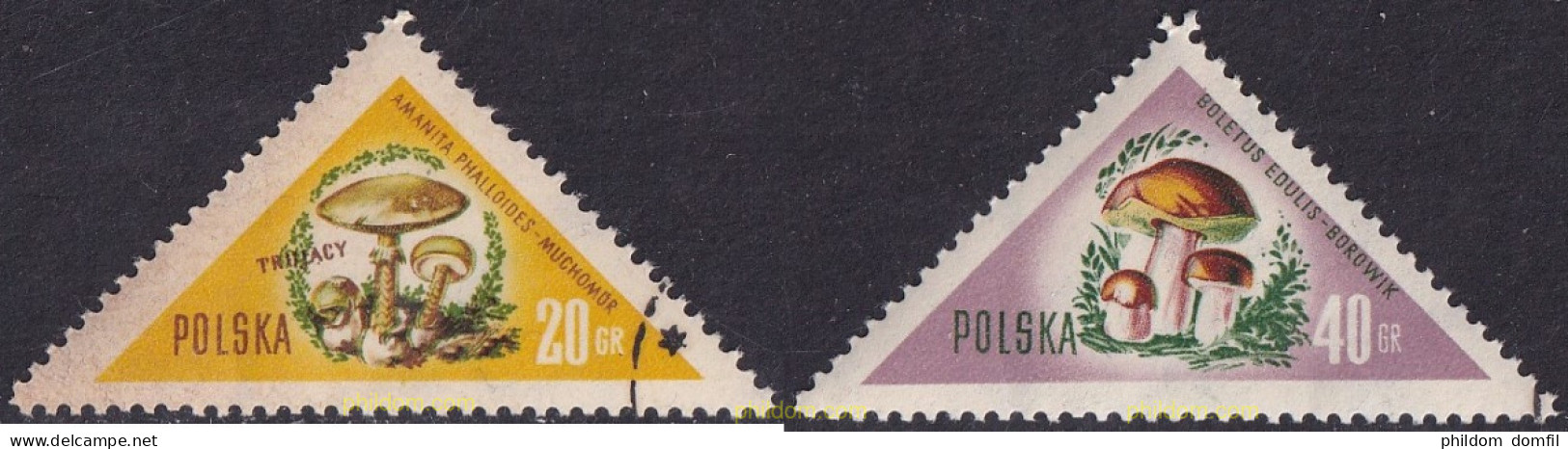 701745 USED POLONIA 1959 SETAS - Andere & Zonder Classificatie