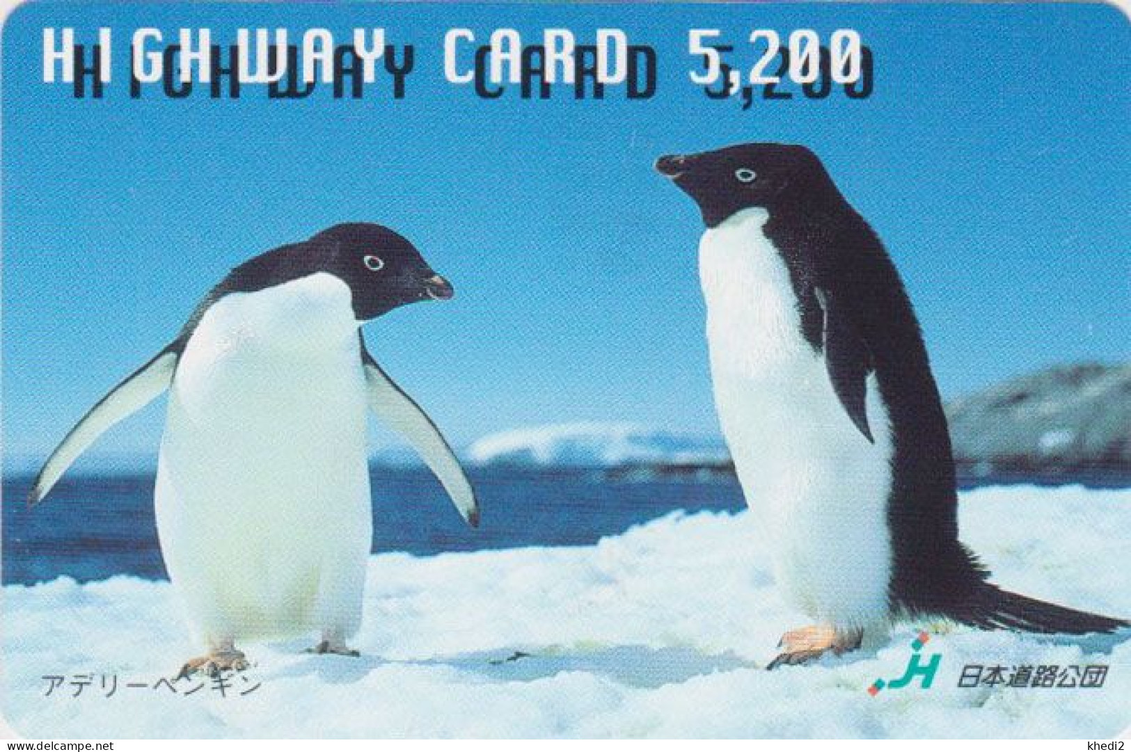 Carte JAPON - ANIMAL - OISEAU - MANCHOT ADELIE / Couple En Parade - PENGUIN BIRD JAPAN Highway Card - HW 5744 - Pinguïns & Vetganzen