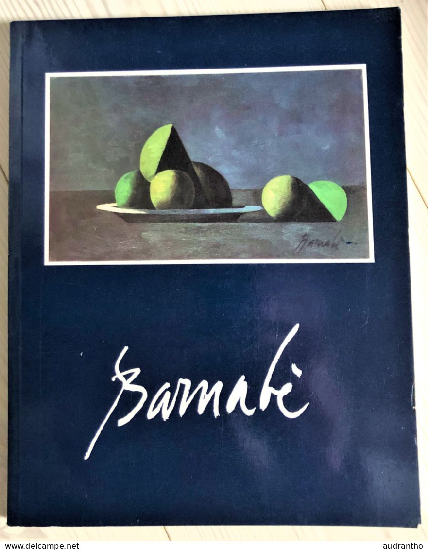 Ouvrage Barnabé Hommage à L'artiste Peintre Futuriste Duilio Barnabé 1914-1961 édition Fall 1991 R.S Johson Fine Art - Beaux-Arts