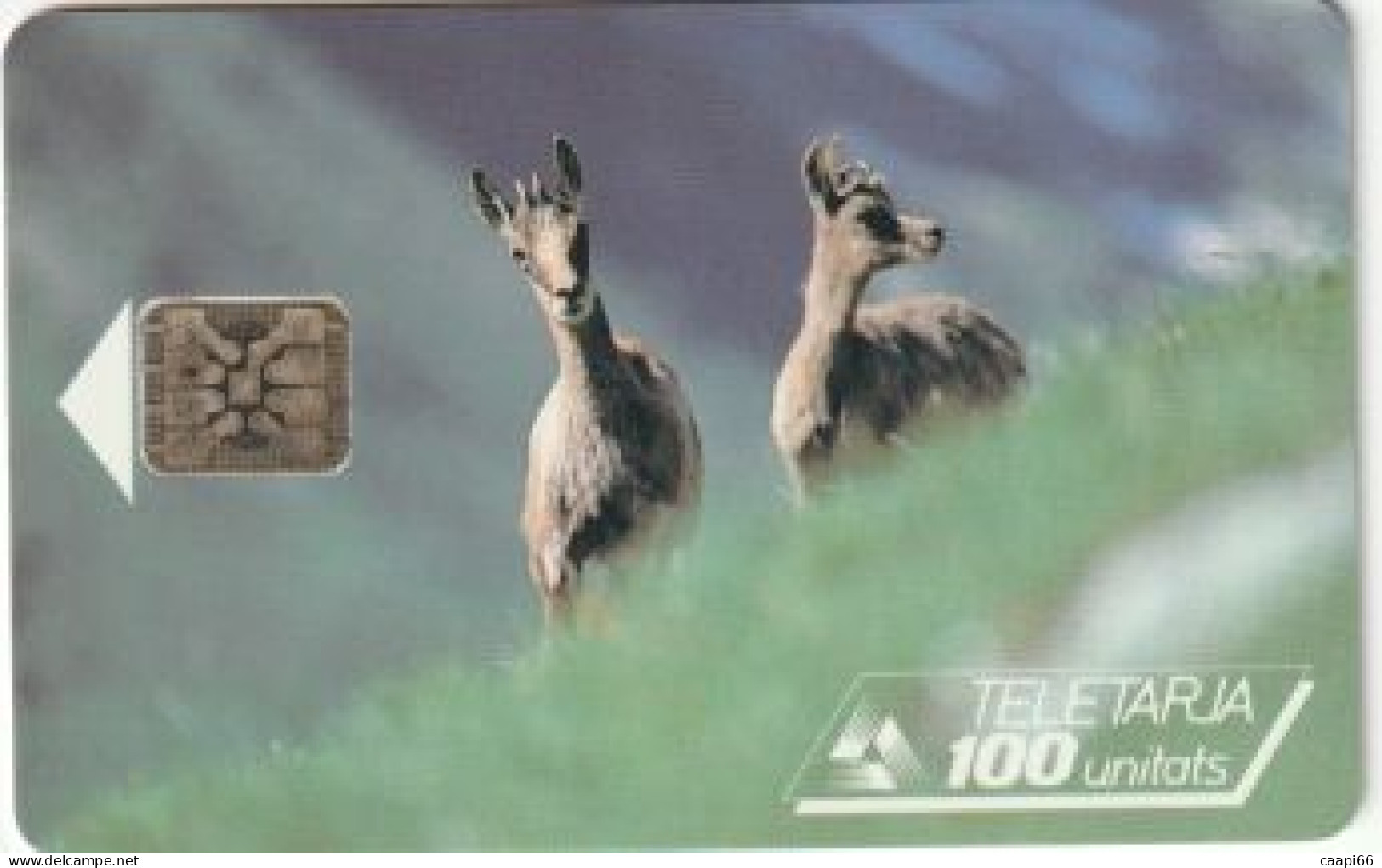 Telecarte ANDORRE-100 U - Isards - Andorre