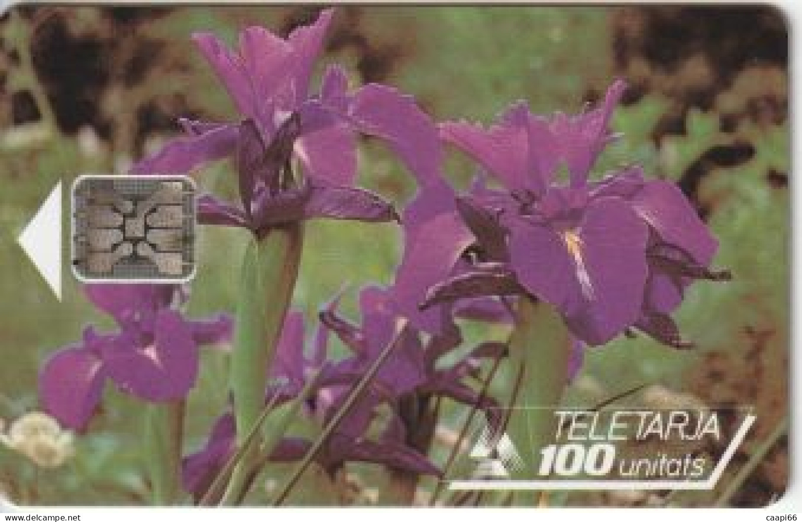 Telecarte ANDORRE-100 U - Iris - Andorre