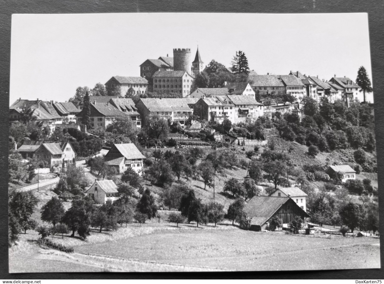 REGENSBERG ZH/ Flugaufnahme - Regensberg