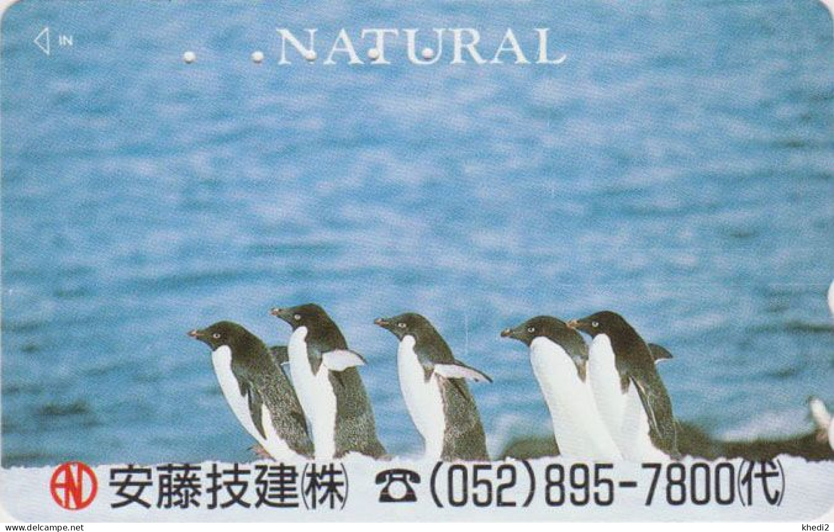 Télécarte JAPON / 110-011 - ANIMAL - OISEAU - MANCHOT ADELIE - PENGUIN BIRD JAPAN Phonecard - PINGUIN - 5775 - Pingueinos