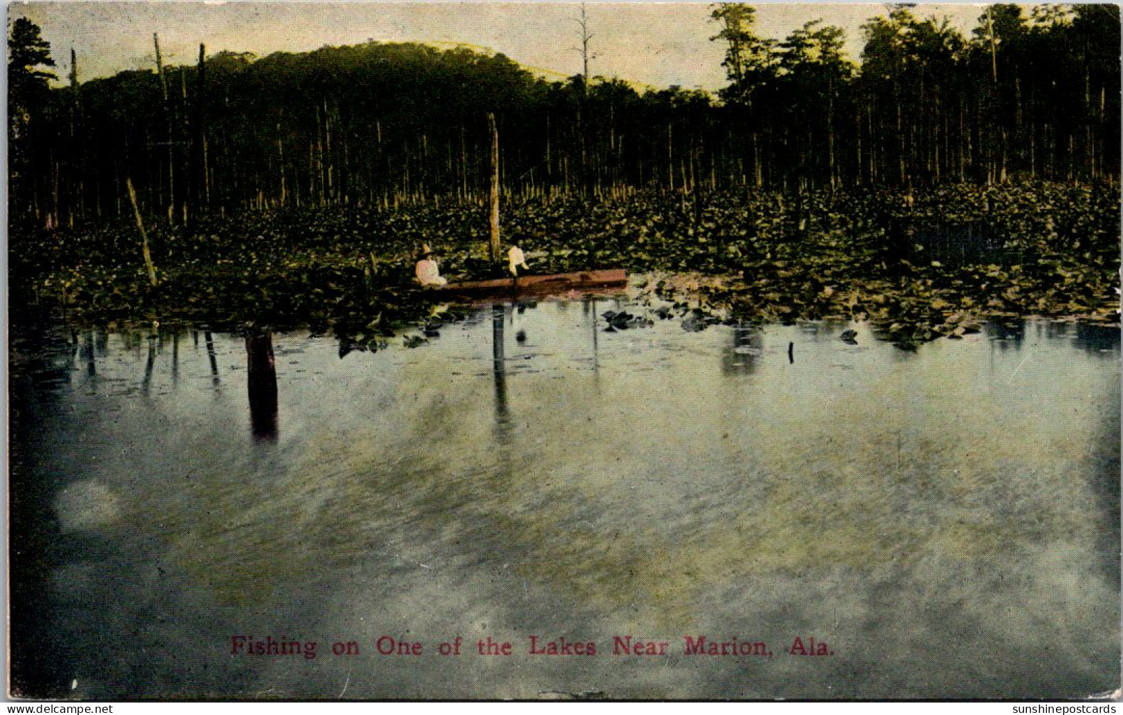 Alabama Marion Fishing In One Of The Lakes Near Marion  - Otros & Sin Clasificación